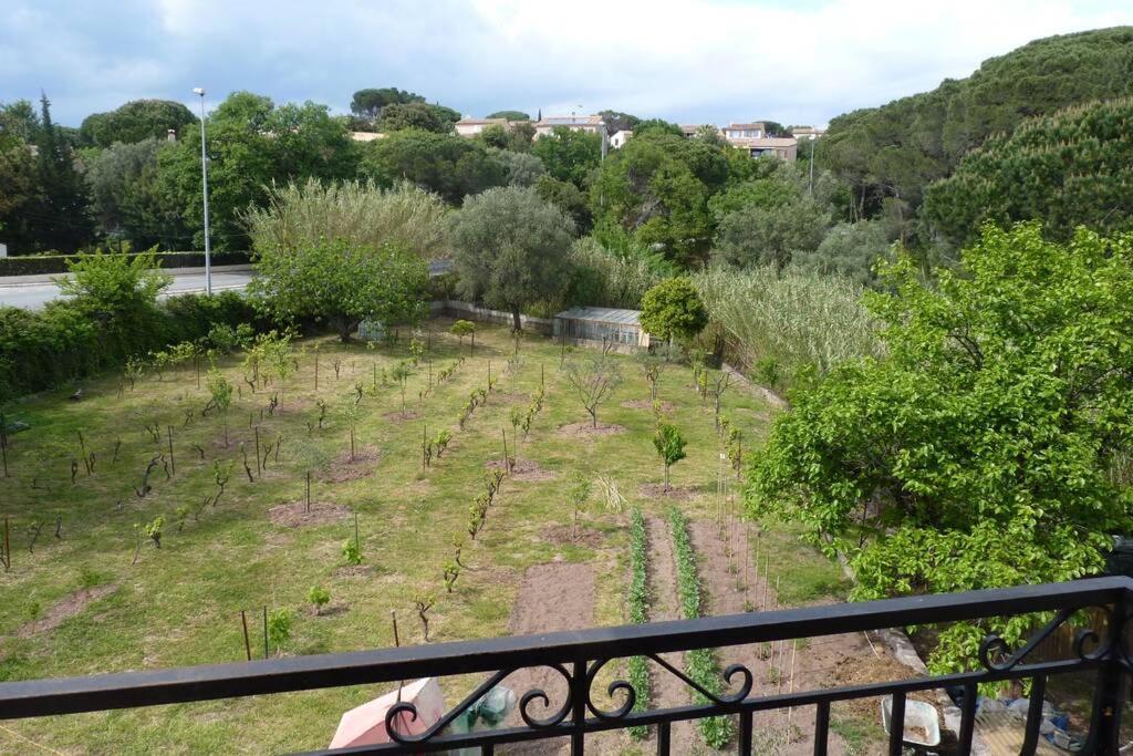 Independant Dans Villa, Entre Et St Raphael Apartment